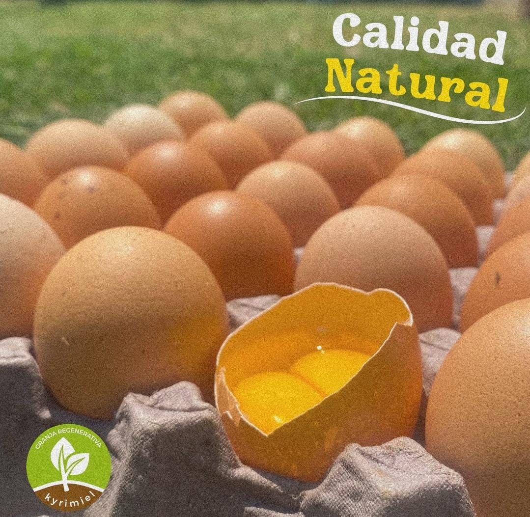 Maple de huevos (medianos)