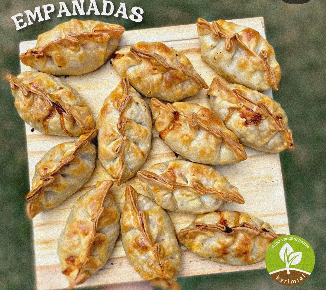Empanadas de pollo agroecologico