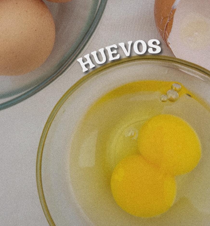Maple de huevos (grandes)